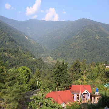 Image Description